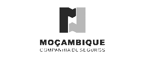 logo companhia seguros mocambique